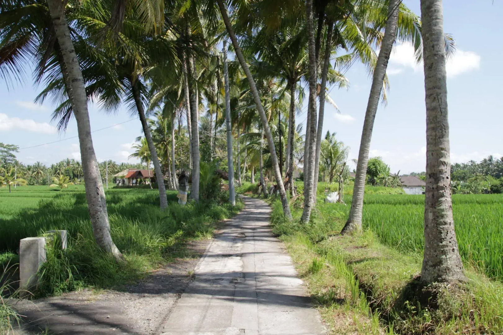 Photo - The Samara Villas & Restaurant