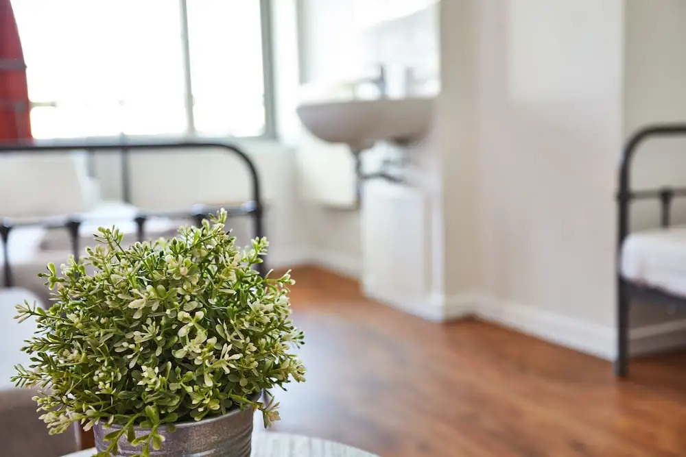 Photo - St Christopher's Inn Paris - Canal