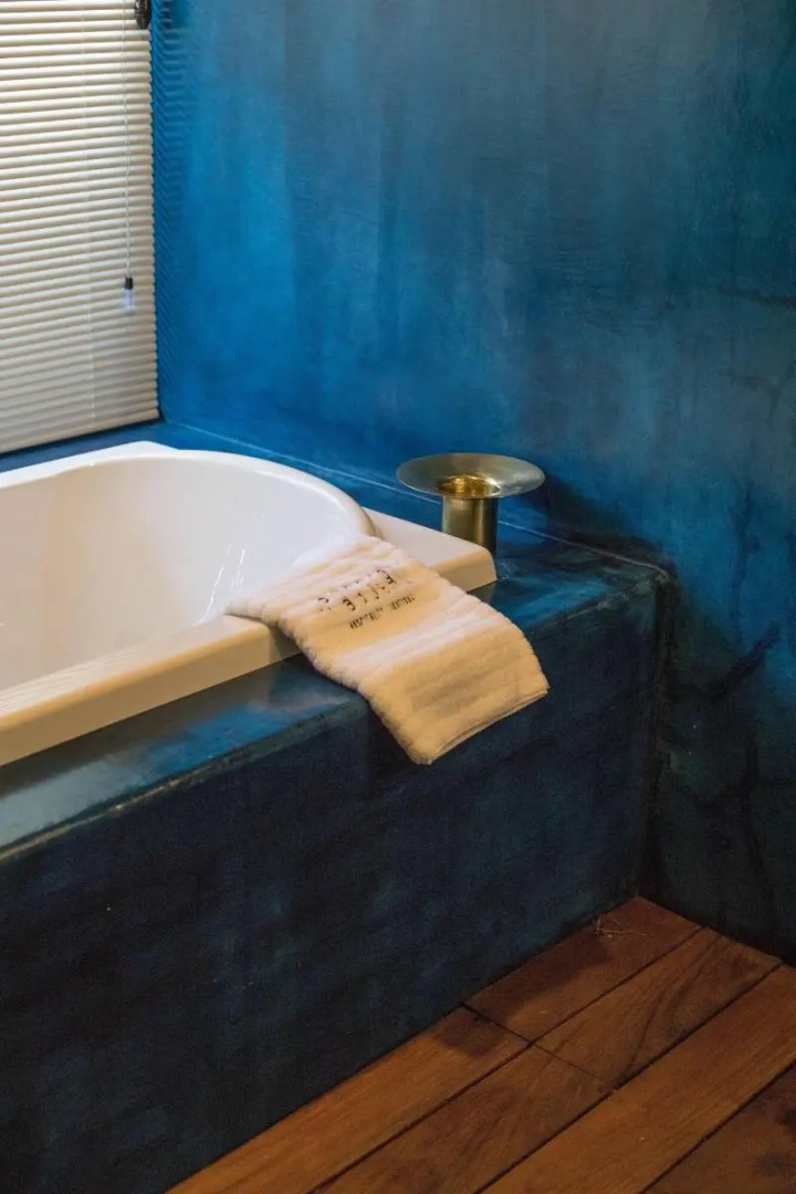 Photo - Pug Seal Polanco Anatole France