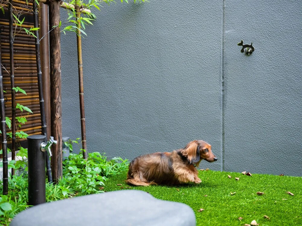 Photo - MIMARU SUITES Tokyo Asakusa