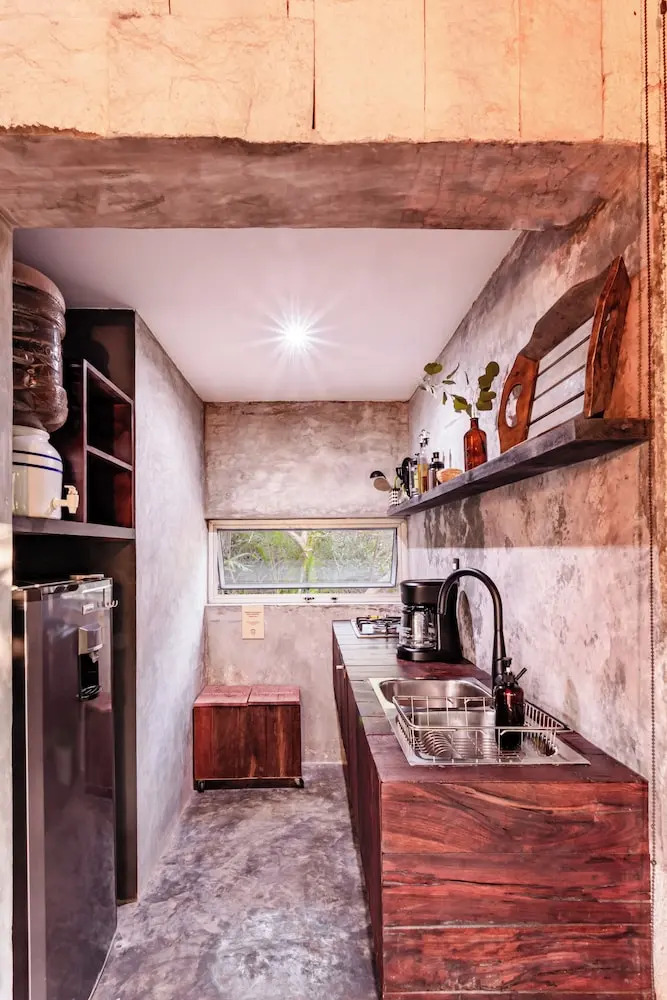 Foto - Vida Silvestre Tulum