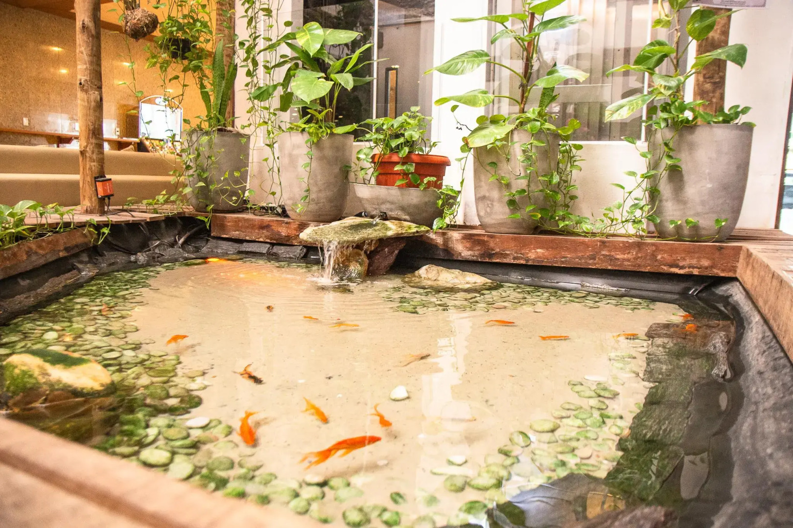 Foto - Matsubara Acqua Park Hotel