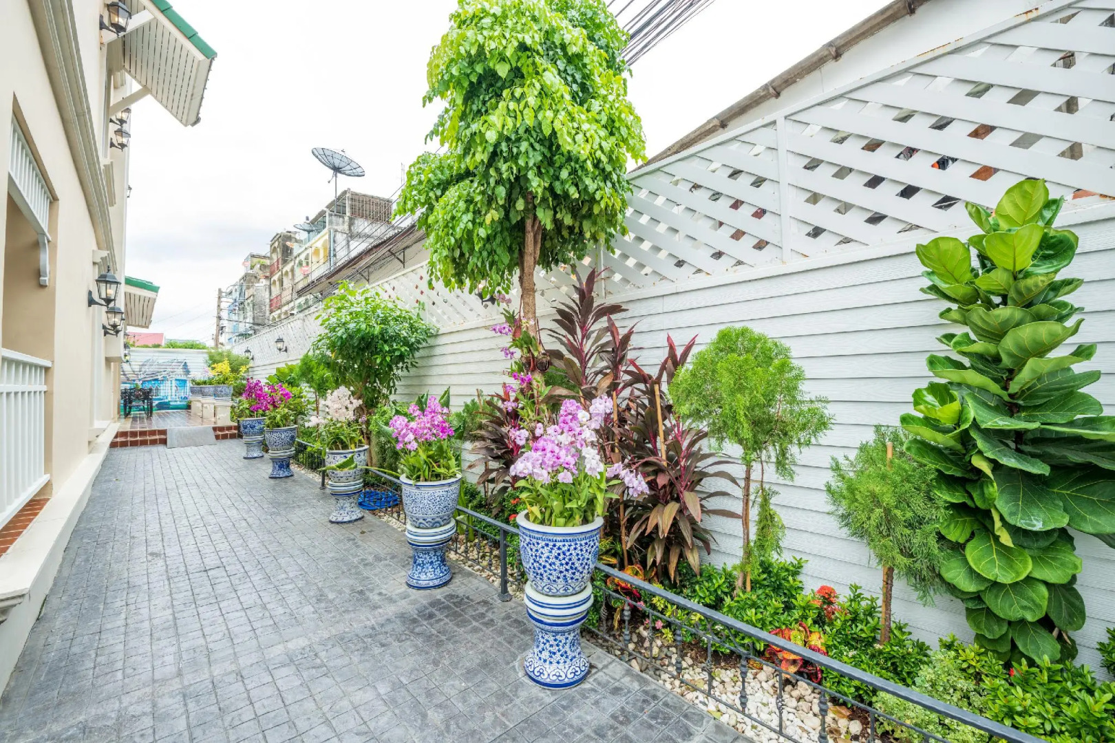 Photo - The Orchid House 153