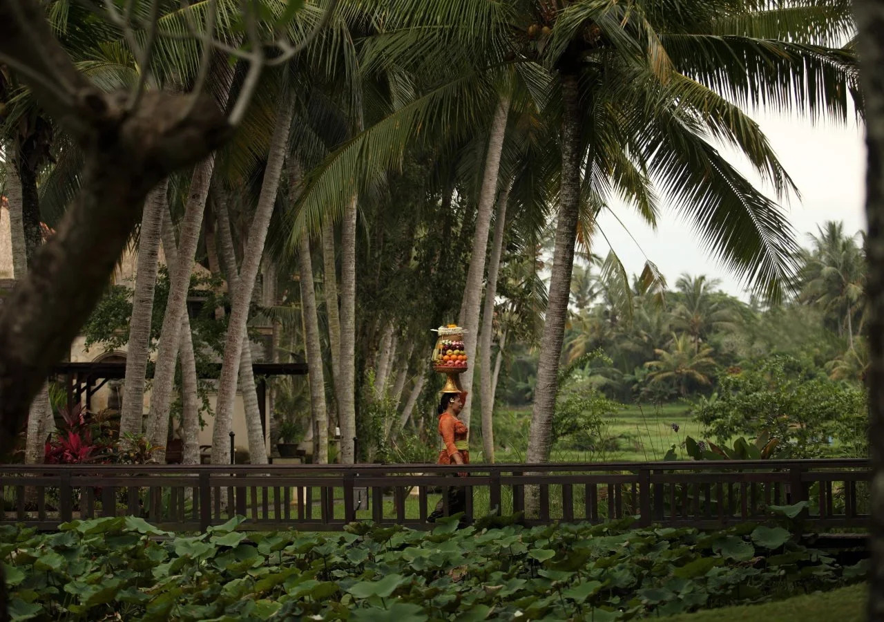 Foto - The Ubud Village Resort & Spa