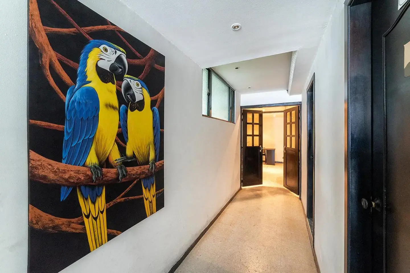 Foto - Hotel Elegant Suite