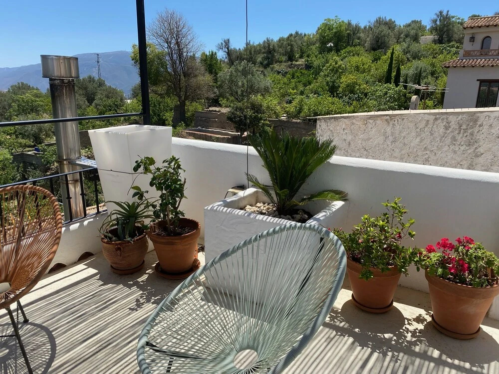 Photo - Casa Limon