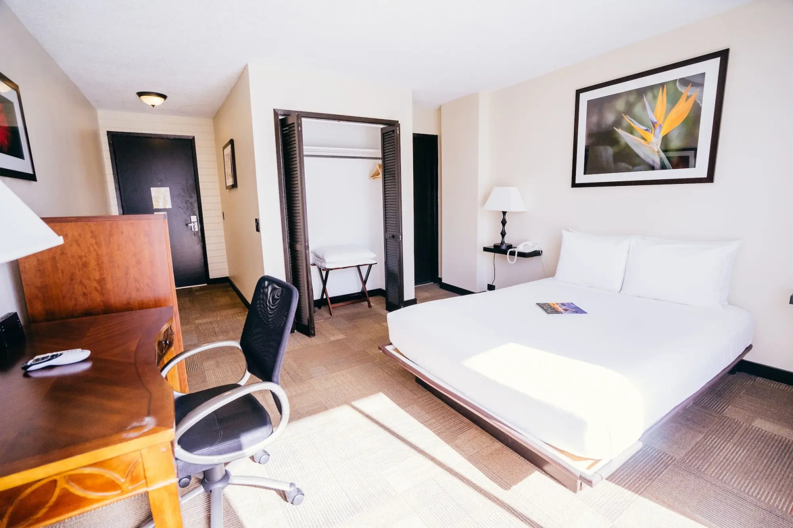 Foto - Stay Hotel Waikiki