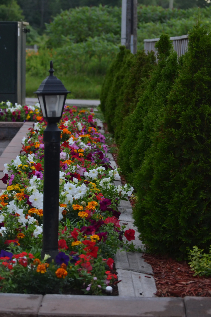 Photo - Newmarket Inn