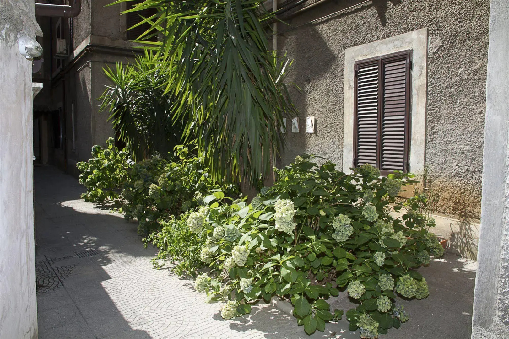 Foto - Hotel Giubileo