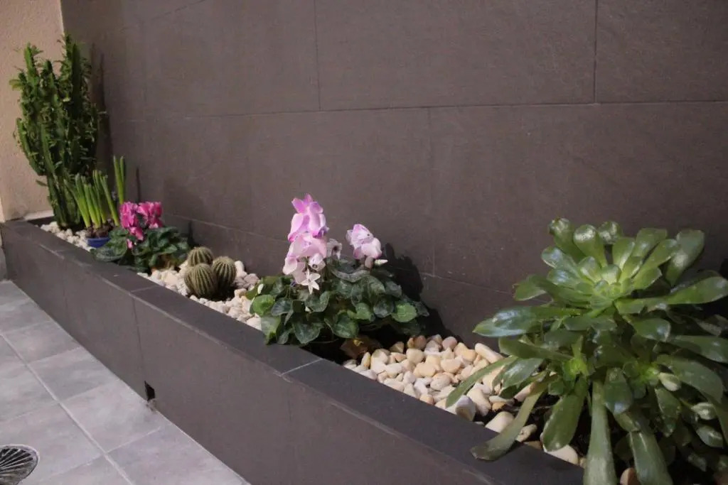 Foto - Hostal Pensimar