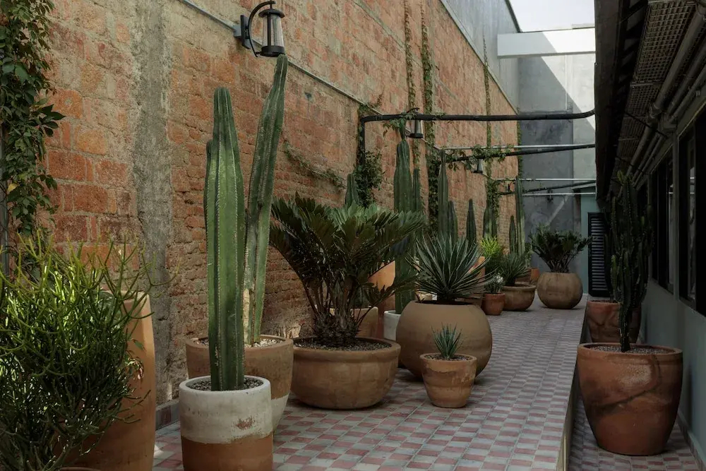 Photo - Origen 438 Luxury Boutique Hotel