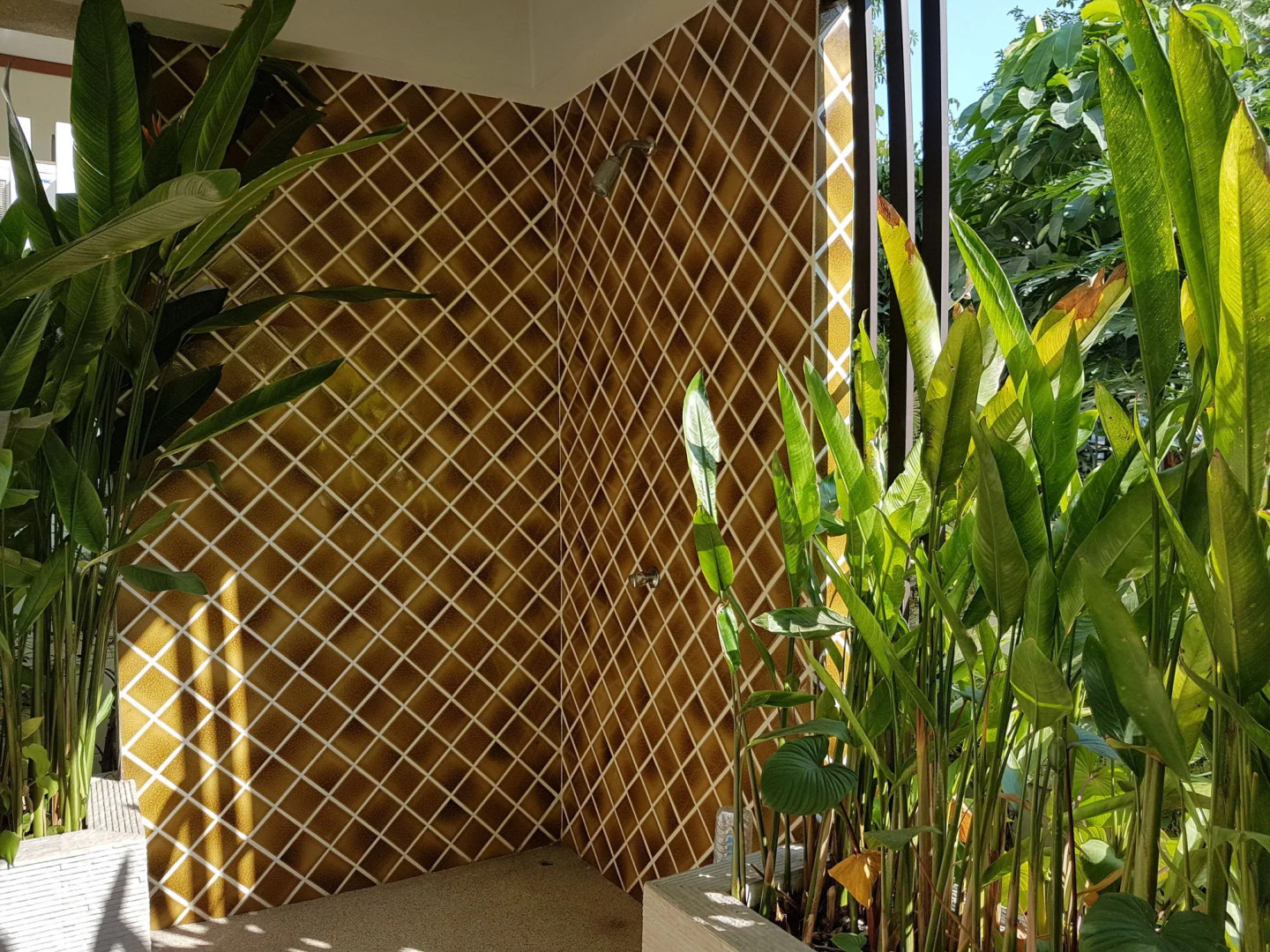 Foto - 14 Place Sukhumvit Suites