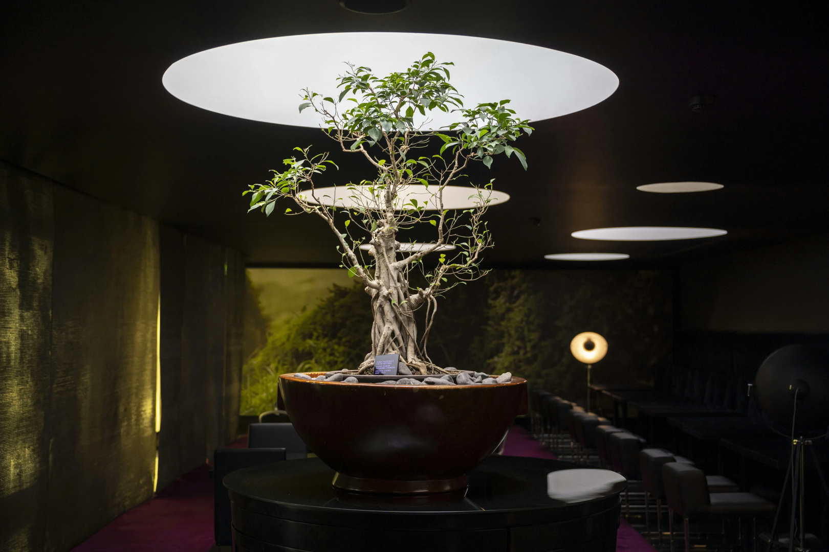 Photo - DoubleTree by Hilton Hotel Lisbon - Fontana Park