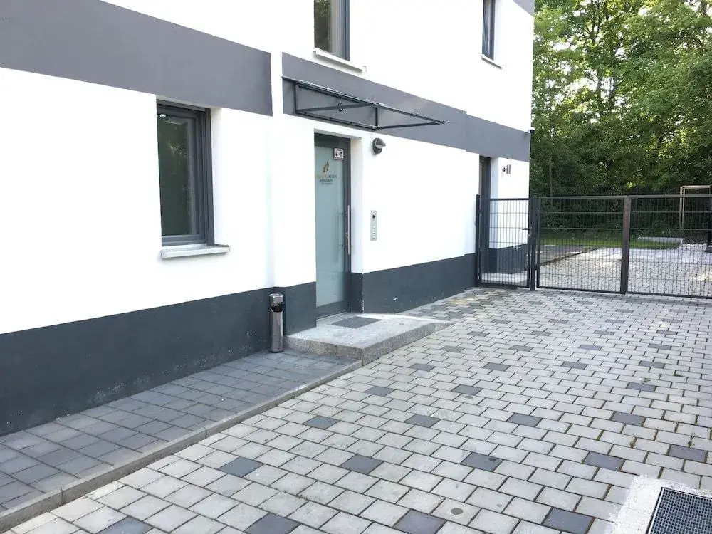 Photo - Sahara Falcon