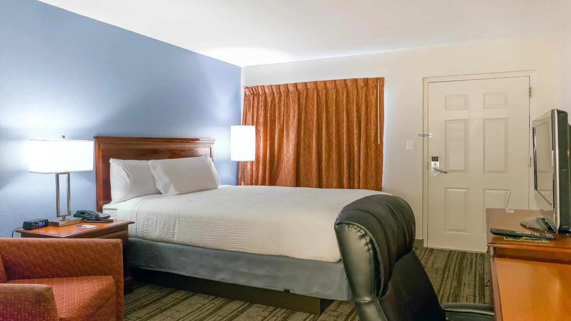 Foto - Hotel South Tampa & Suites