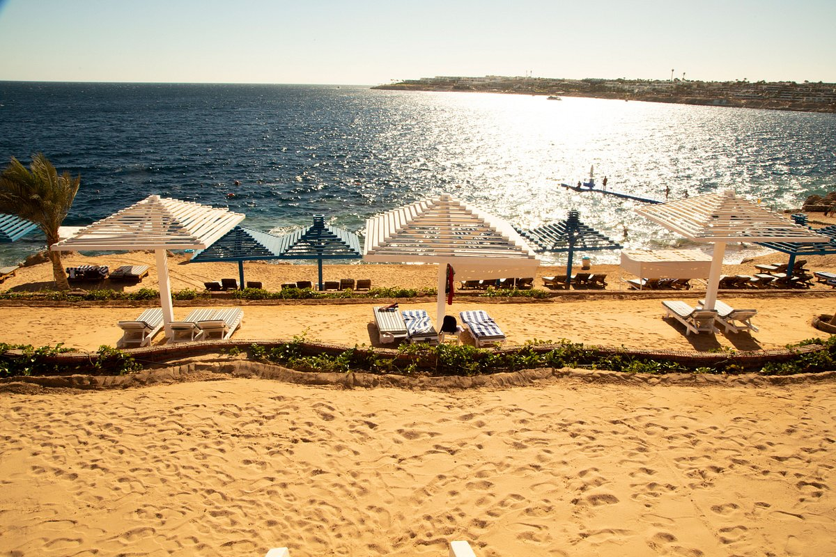 Photo - Grand Oasis Resort