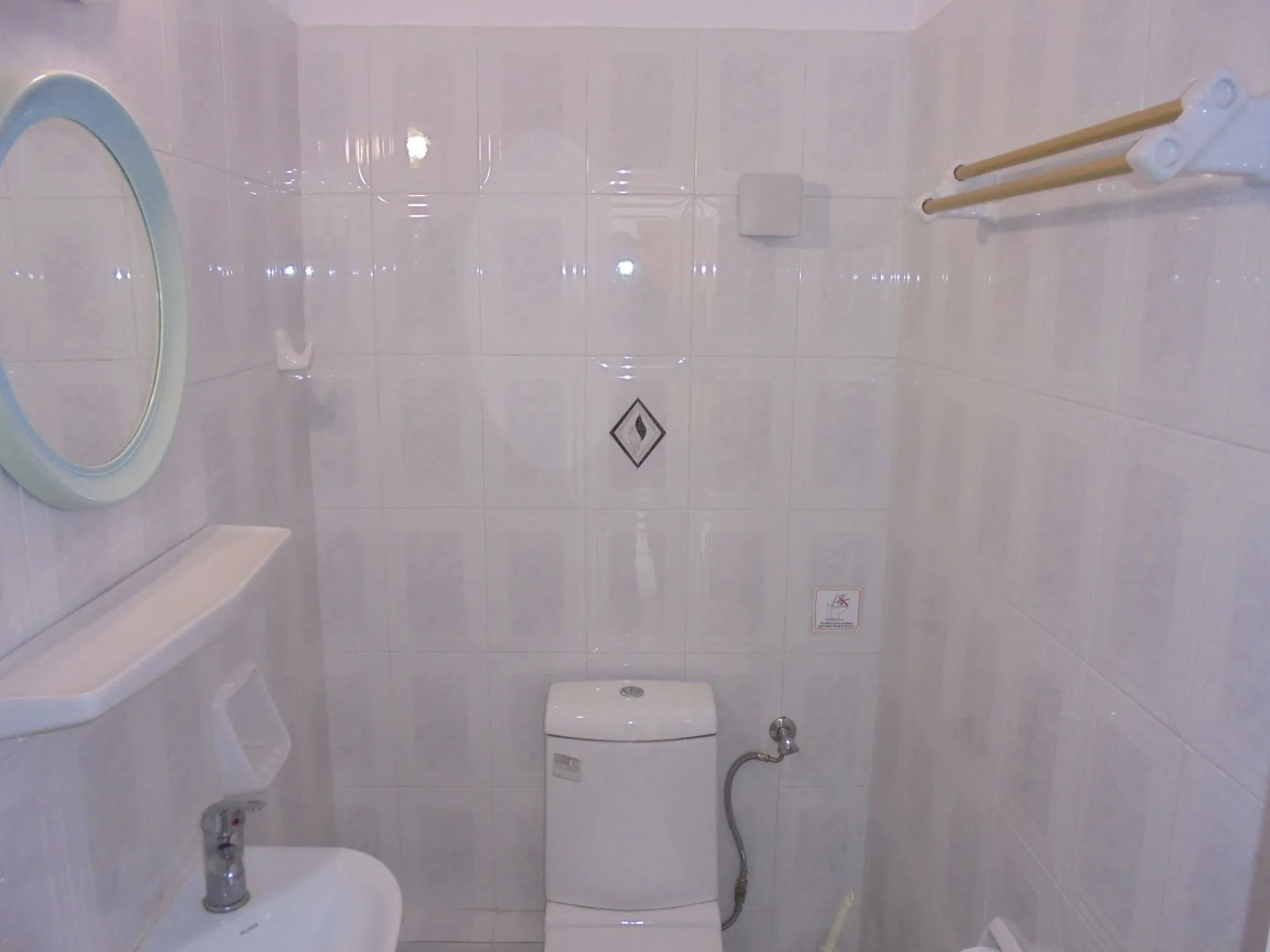 Photo - Georgia Mare