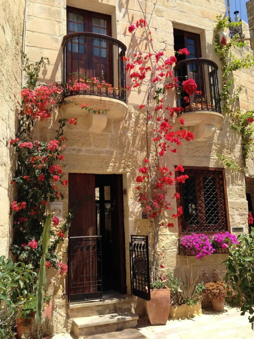 Foto - The Burrow Guest House