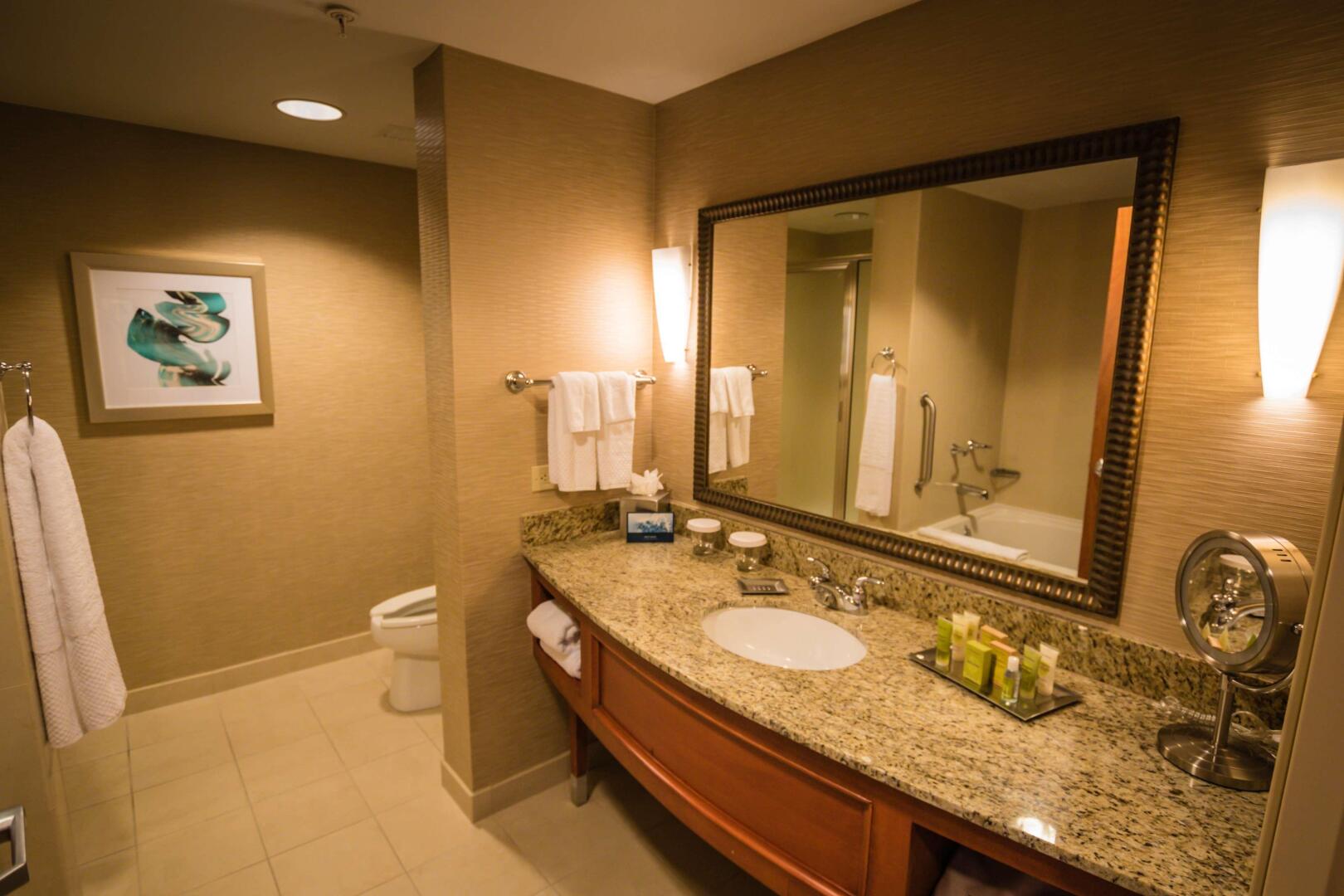 Foto - Hilton St. Petersburg Carillon Park