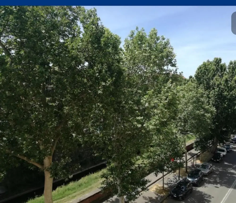 Foto - Sweet Home XX Settembre