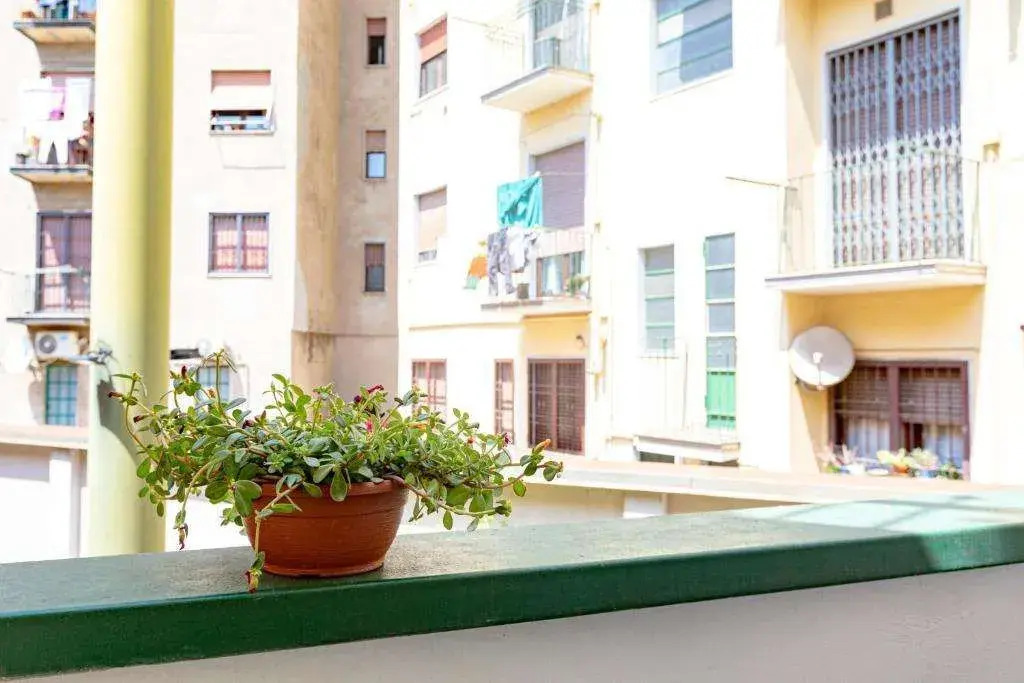 Foto - Città Studi Suites - Top Collection