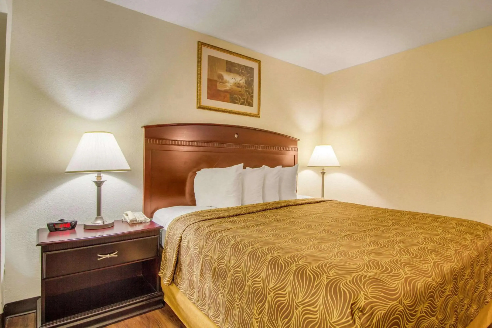 Foto - MainStay Suites Texas Medical Center-Reliant Park