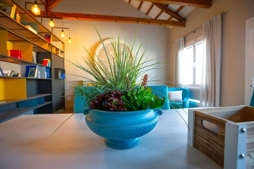 Foto - El Patio de los Jazmines "Boutique-House"