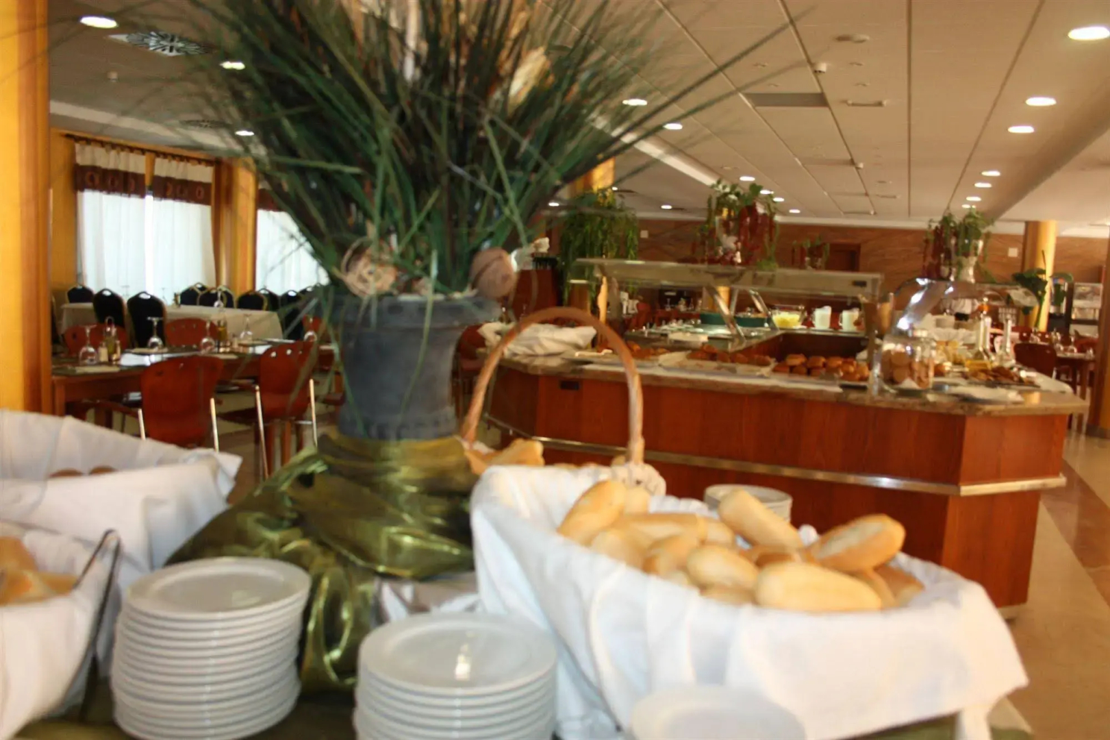 Foto - Hotel Sun Palace Albir & Spa