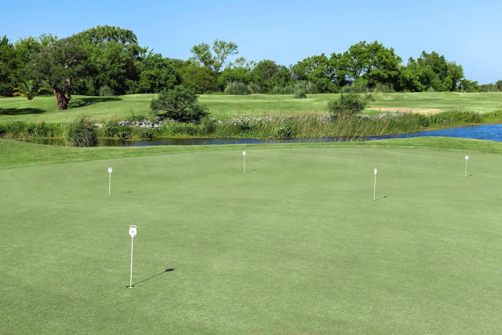 Photo - Sheraton Colonia Golf & Spa Resort