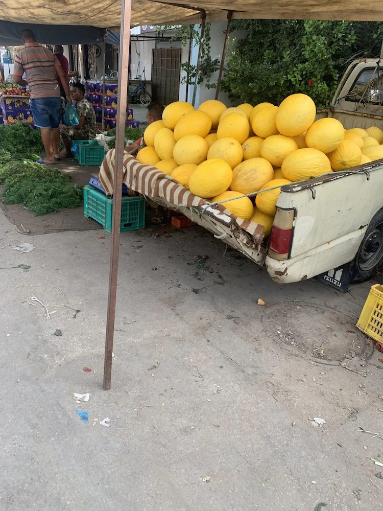 Photo - Dar Lola Djerba