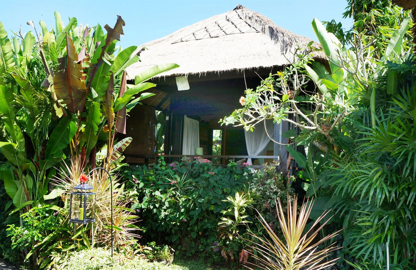 Photo - Samanvaya - Adults Only