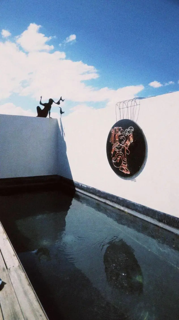 Photo - Hotel Sin Nombre