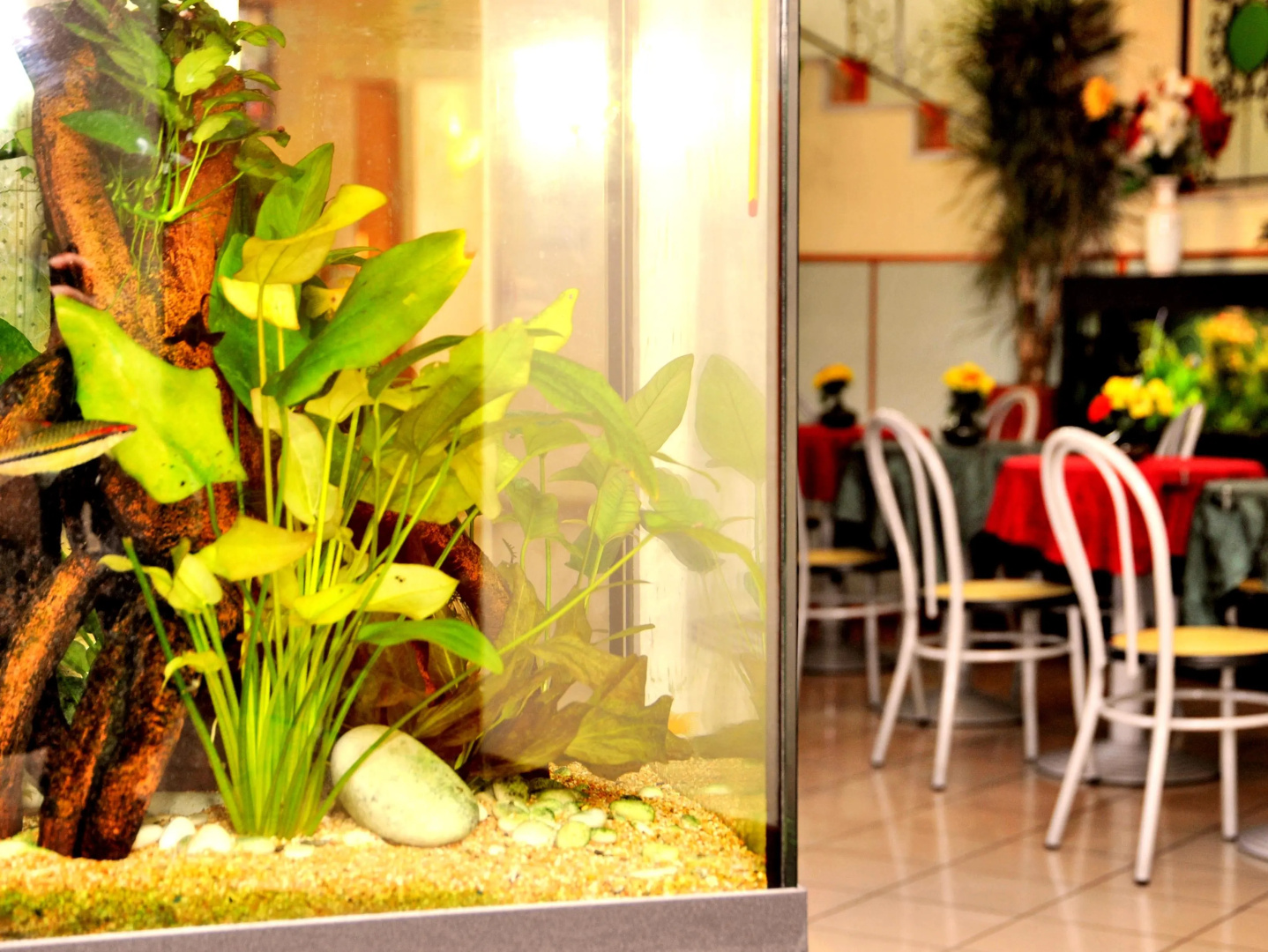 Photo - Hotel San Siro Fiera