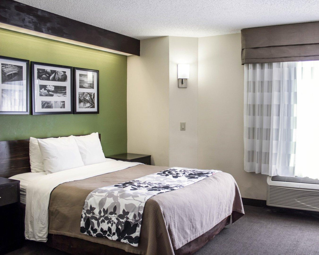 Foto - Comfort Suites Northlake