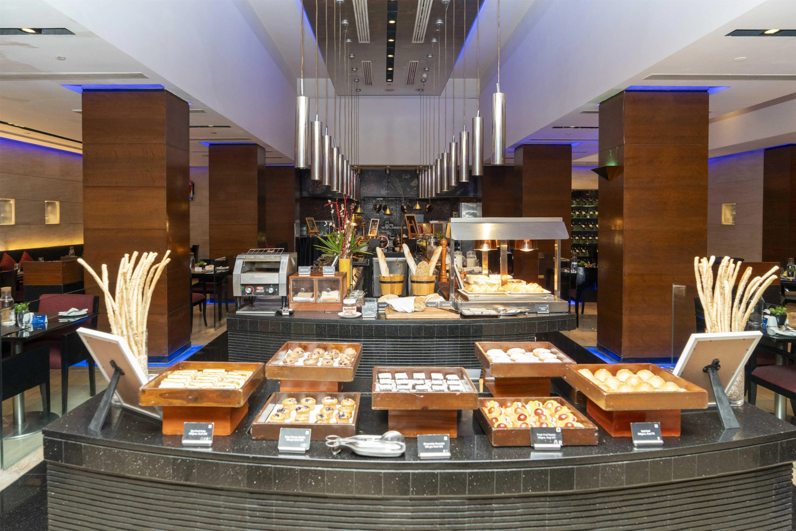 Foto - Radisson Blu Plaza Delhi Airport