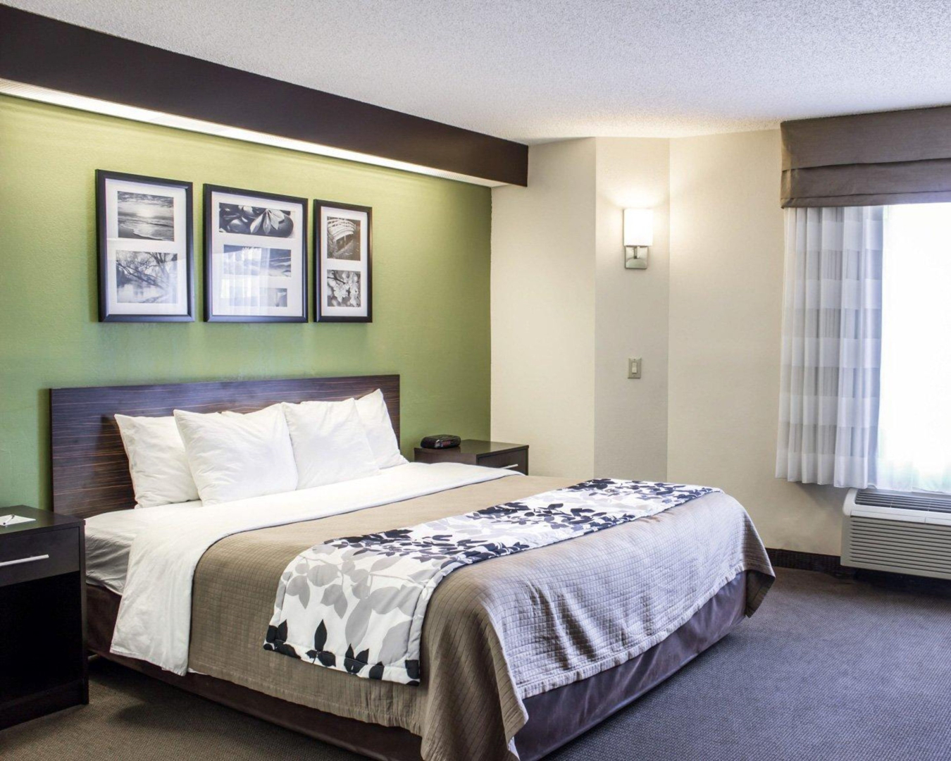 Foto - Comfort Suites Northlake