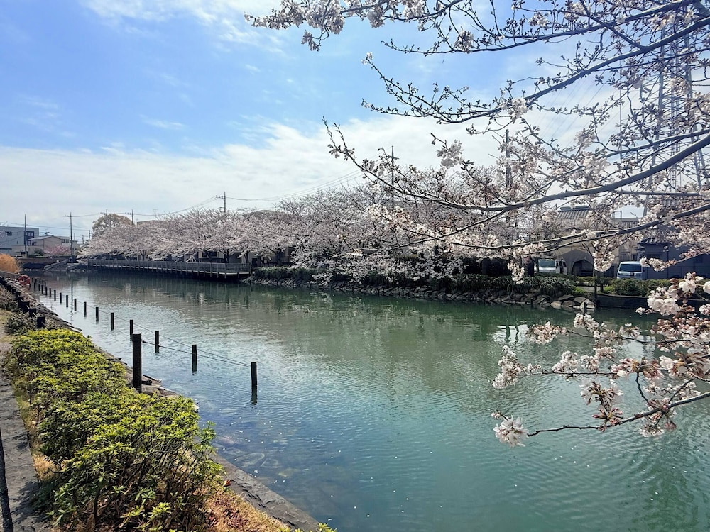 Foto - Nakakasai Kodate