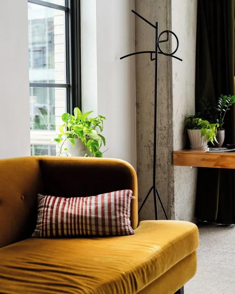 Foto - The Emily Hotel