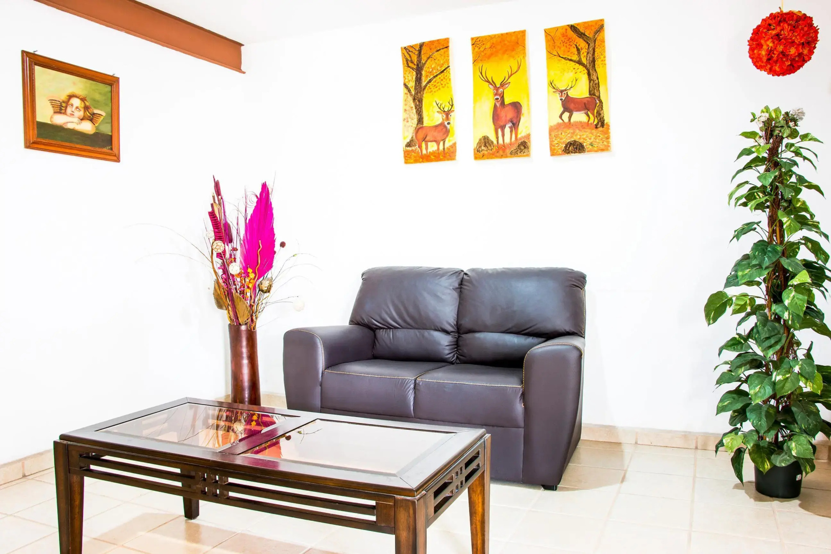 Foto - Hotel Vallartasol