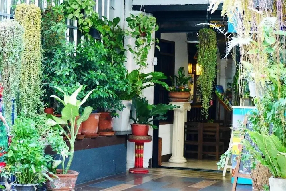 Photo - Lanna Hostel