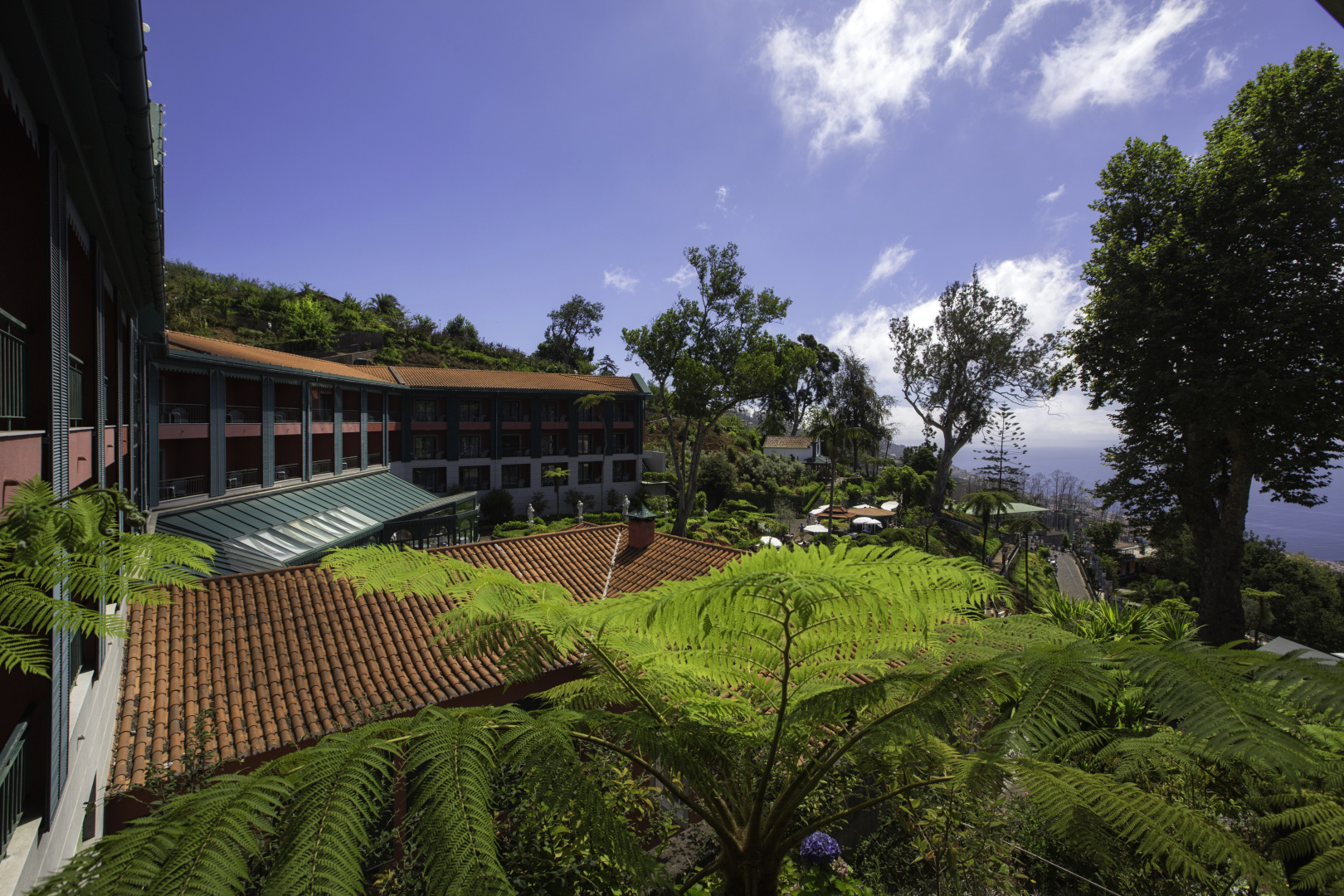 Foto - Quinta do Monte