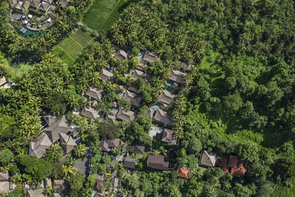 Foto - The Ubud Village Resort & Spa