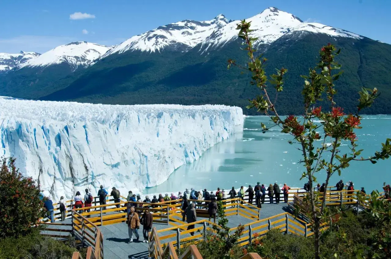 Foto - Sent Calafate