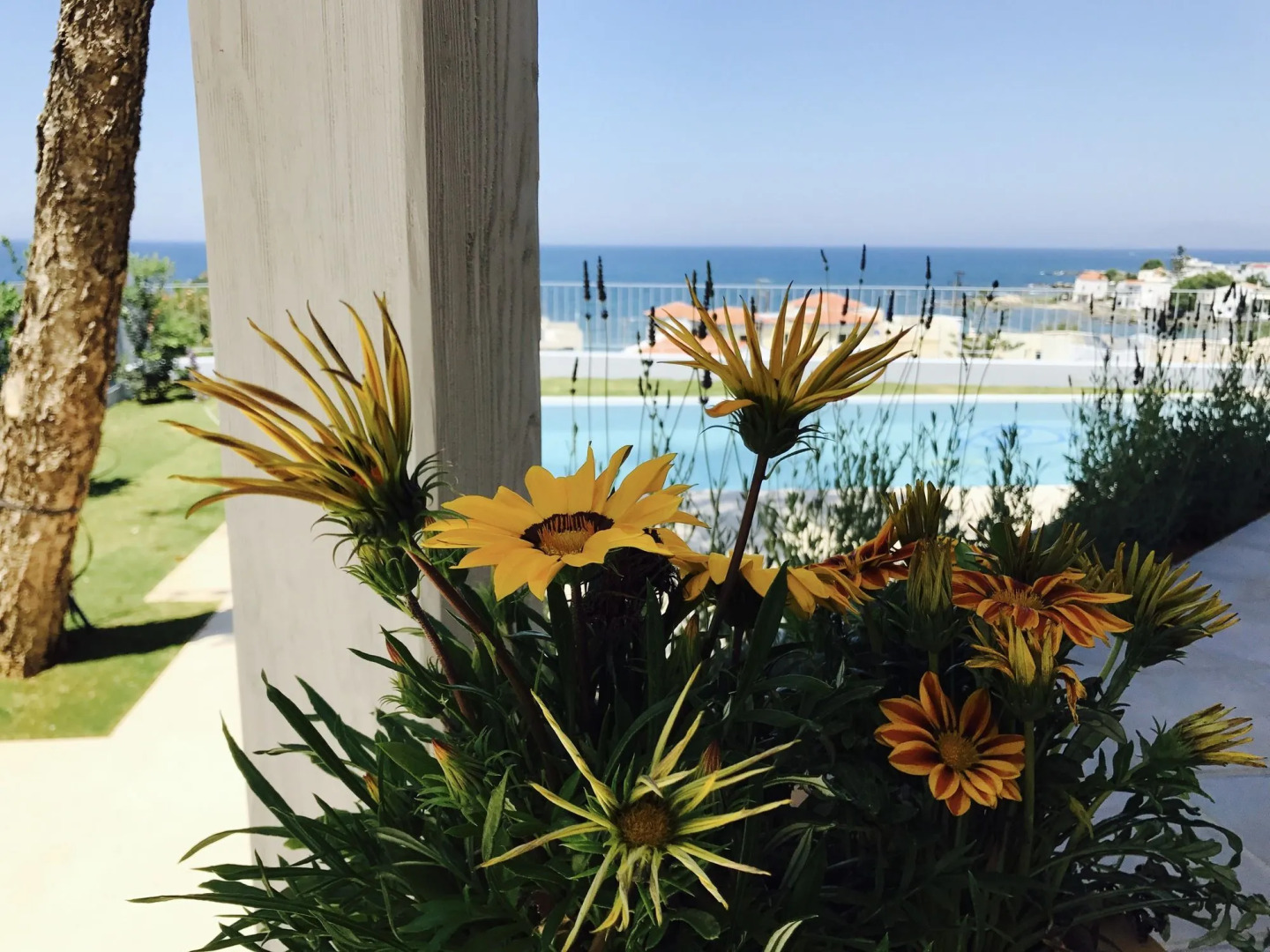 Photo - Thea Thalassa