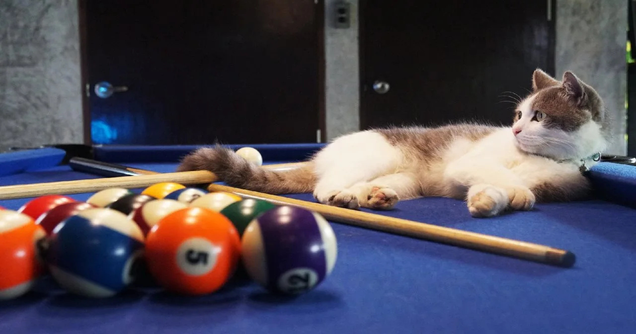 Foto - Rumpai Loft Habitat