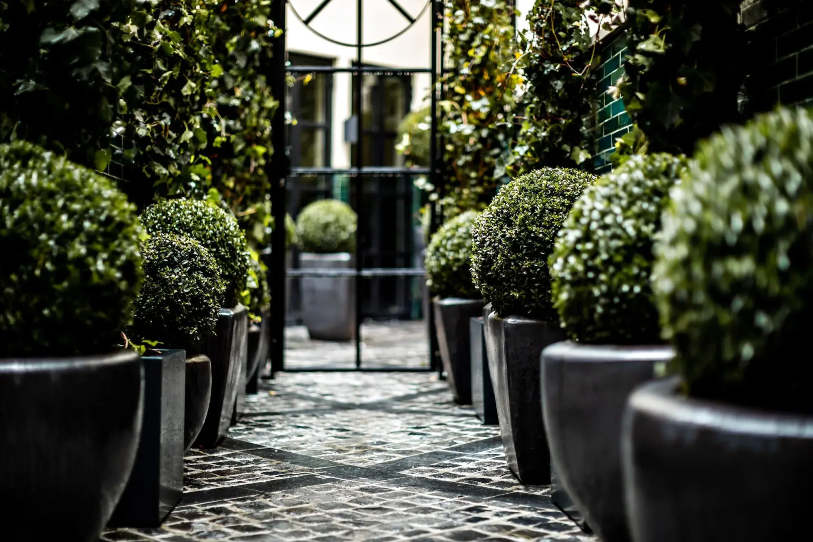 Photo - Monsieur George Hotel & Spa - Champs-Elysées