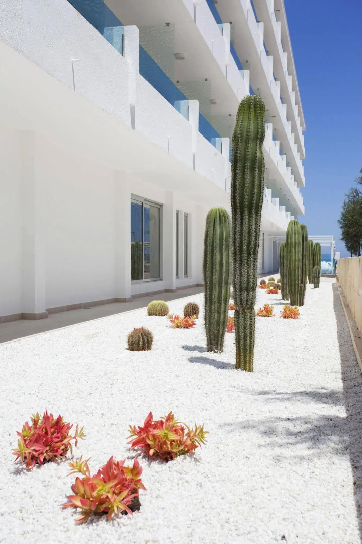 Foto - The Sea Hotel by Grupotel - Adults Only