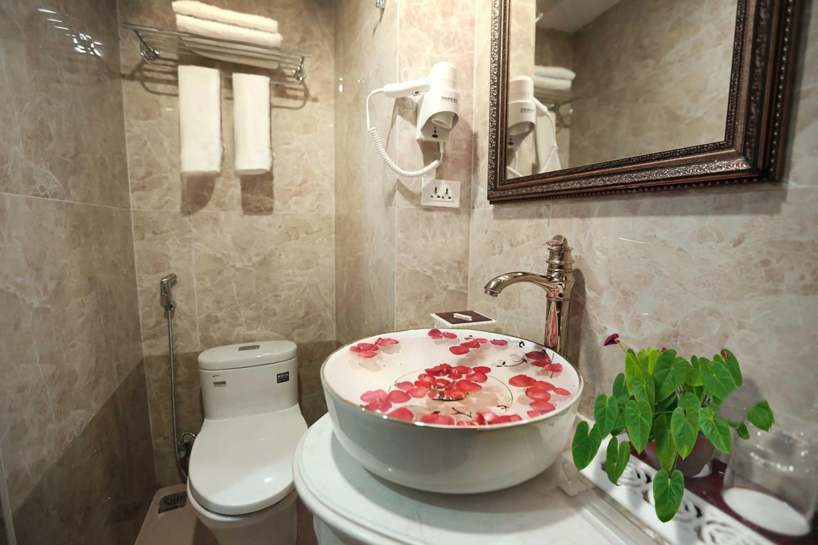 Foto - Golden Sail Hotel