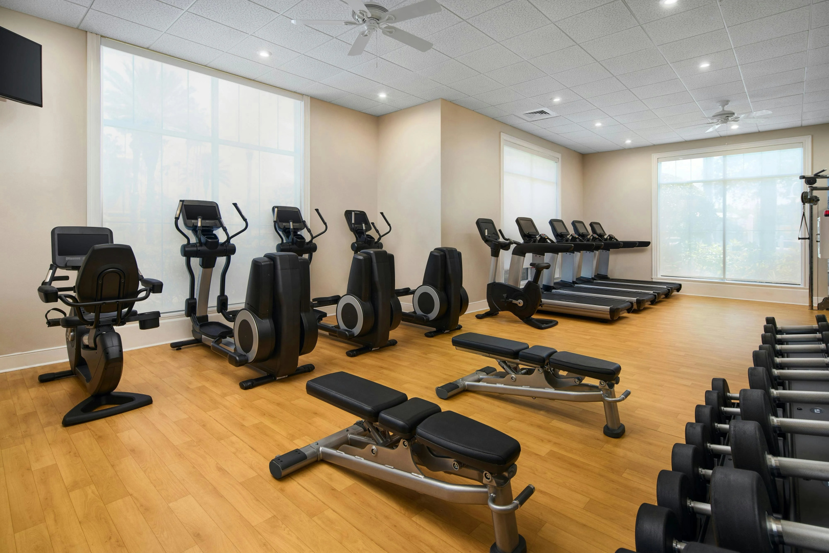 Photo - Sheraton Vistana Villages Resort Villas, I-Drive/Orlando