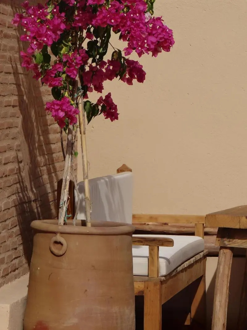Photo - Riad  Dar Eternity